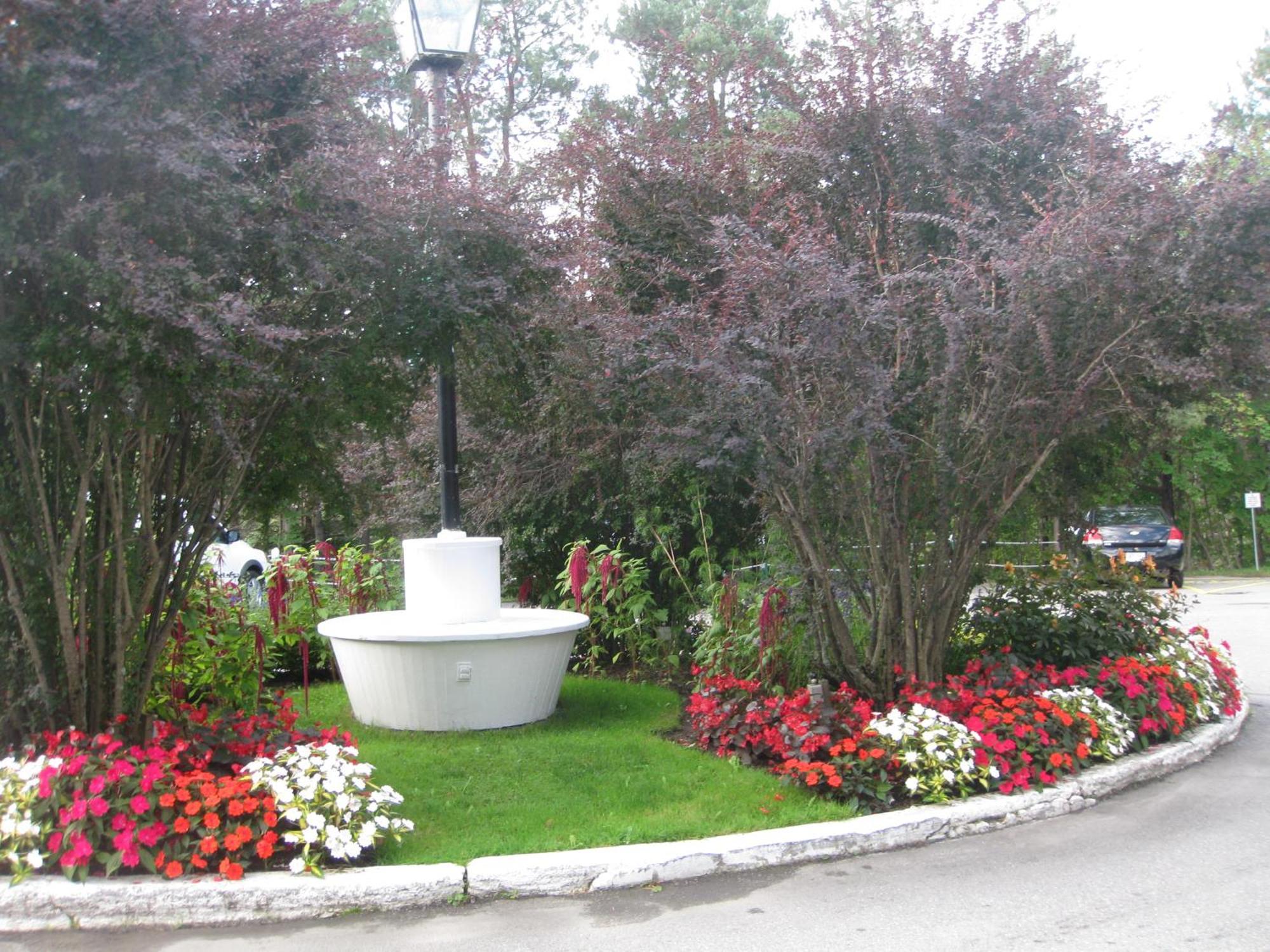 Glynmill Inn Corner Brook Bagian luar foto
